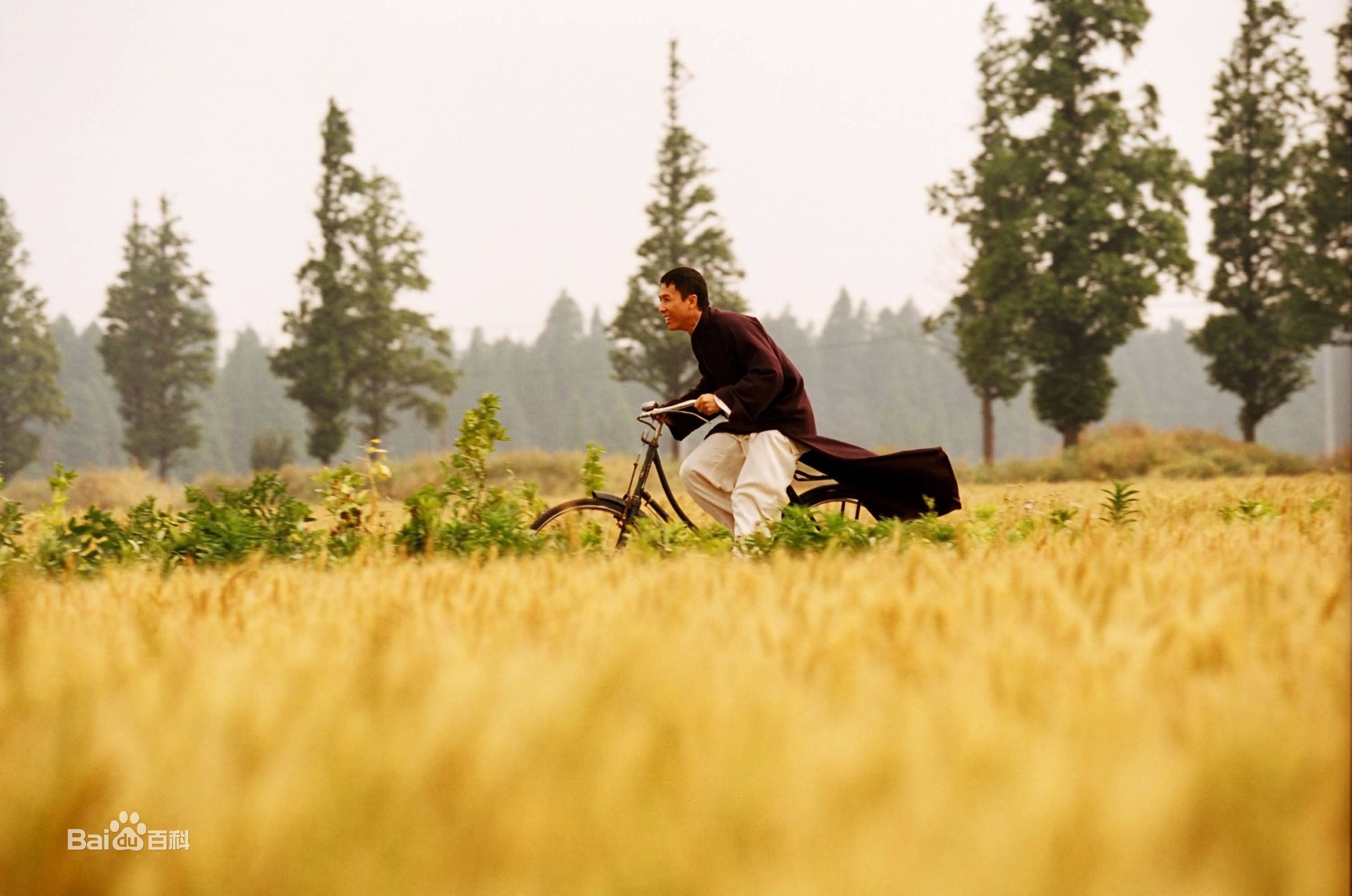 最新亚洲动作电影免费,亚洲真实暴力动作电影