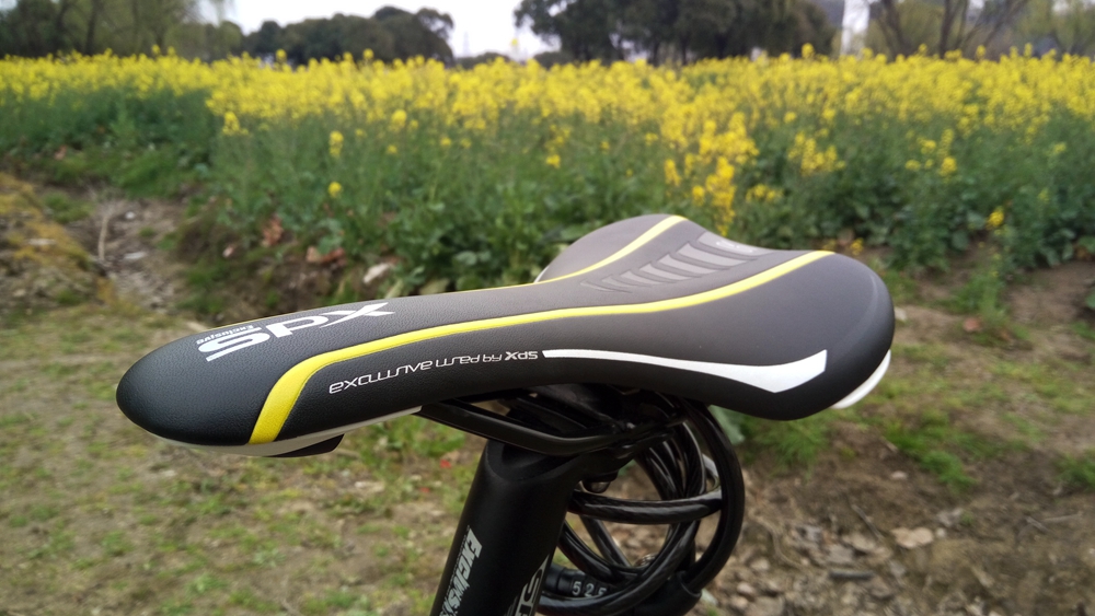 让x(叉)d(得)s(爽)带我飞简评喜德盛传奇700