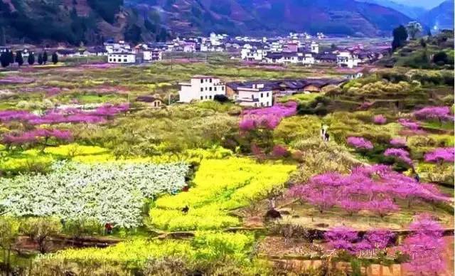 九峰山摄影图片,九峰花海摄影