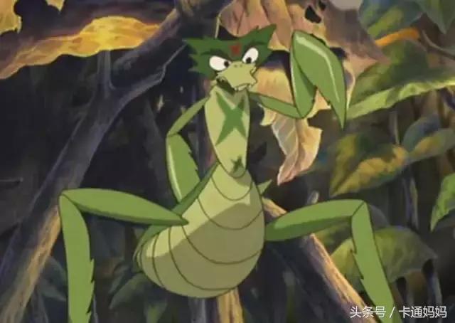 昆虫的微观小世界,微观世界每只昆虫都有它的故事