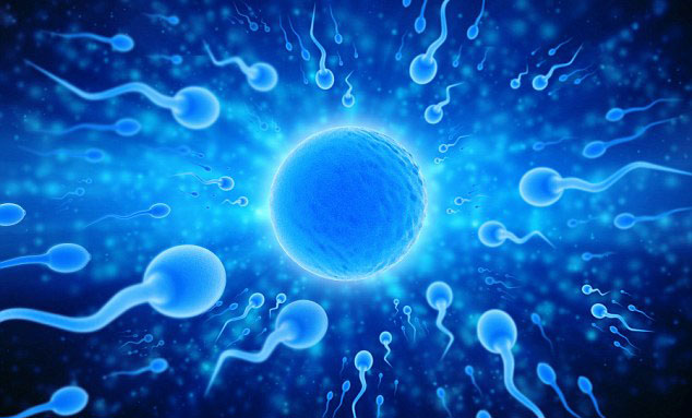 科学实验解读精子形成和排泄系统,科学家们首次发现精子的运动规律