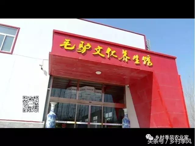 养驴场大规模养驴,年入百万不是能力而是选择