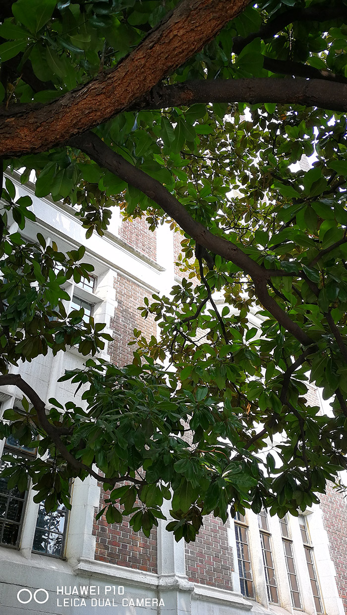 华为p10拍照测评,华为p10拍照测评对比