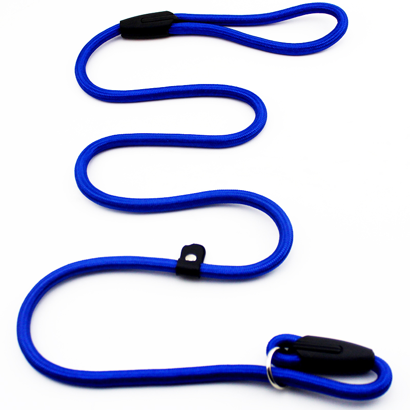 汪星人可以喂狗吗,汪星人怎么养狗