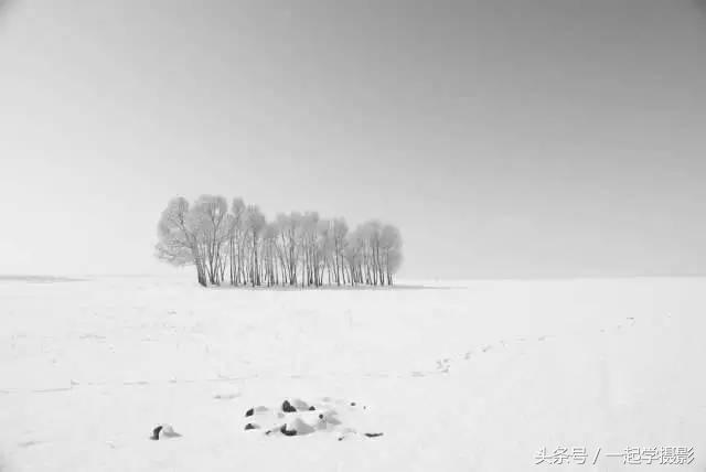 为什么说：俗照片走眼，好照片走脑？