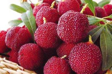 如何酿酒杨梅果酒,果酒杨梅酒制作方法