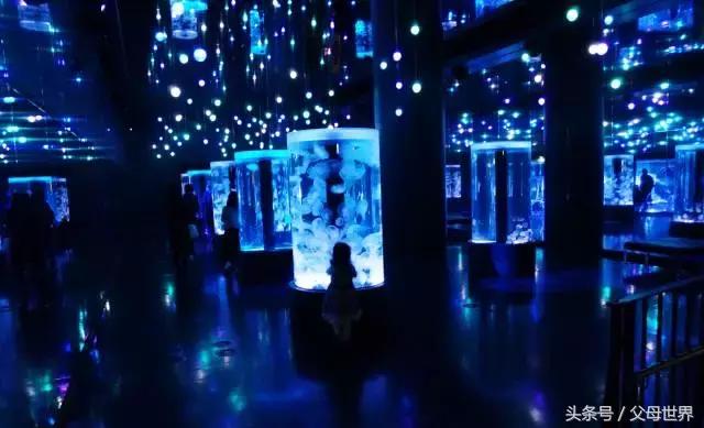 一个从来没用过童车的爸爸抱着孩子去日本水族馆吓人了！