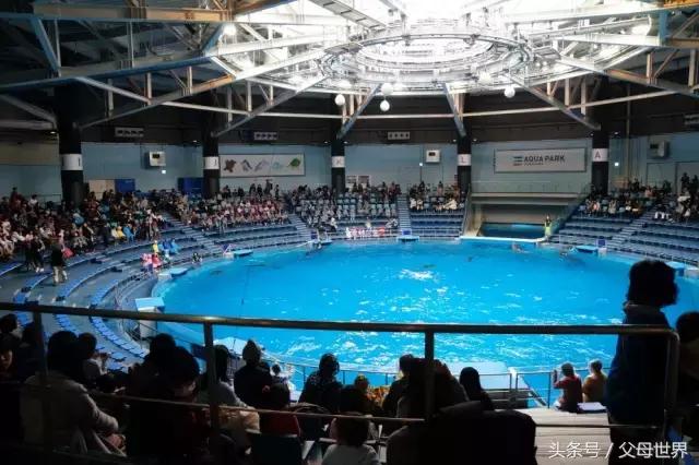 一个从来没用过童车的爸爸抱着孩子去日本水族馆吓人了！