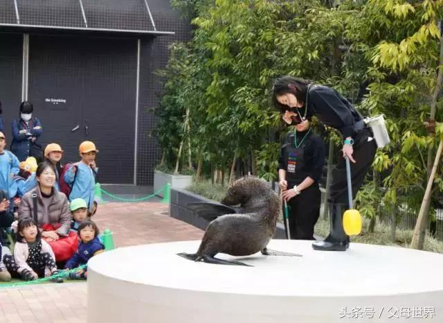 一个从来没用过童车的爸爸抱着孩子去日本水族馆吓人了！