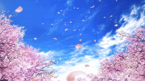 上海｜2017最强赏花攻略，带上你的小伙伴去浪吧！