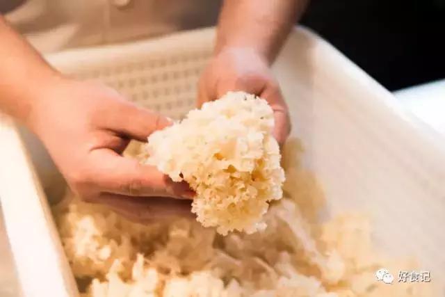 绣球菌成精了!280天的等待,唇齿相依的一刻,你会爱上她吗?