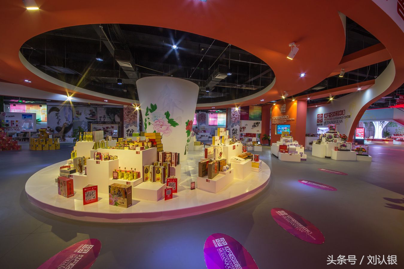 菏泽高峰论坛,菏泽天华电商产业园拍摄