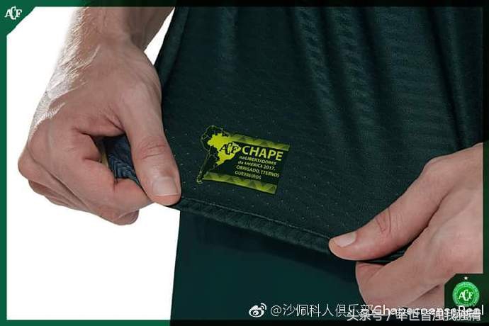 巴甲联赛沙佩科恩打南美杯,沙佩科人vs桑托斯