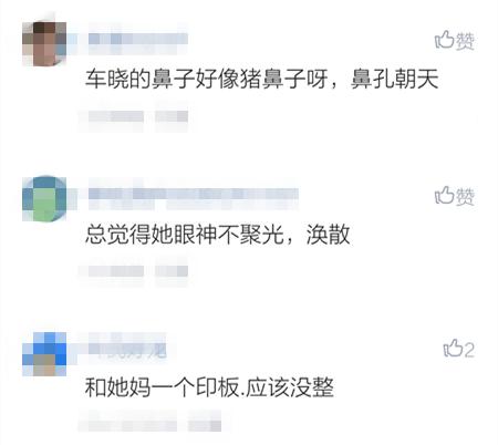 车晓整鼻子了吗,和车晓鼻子很像的明星