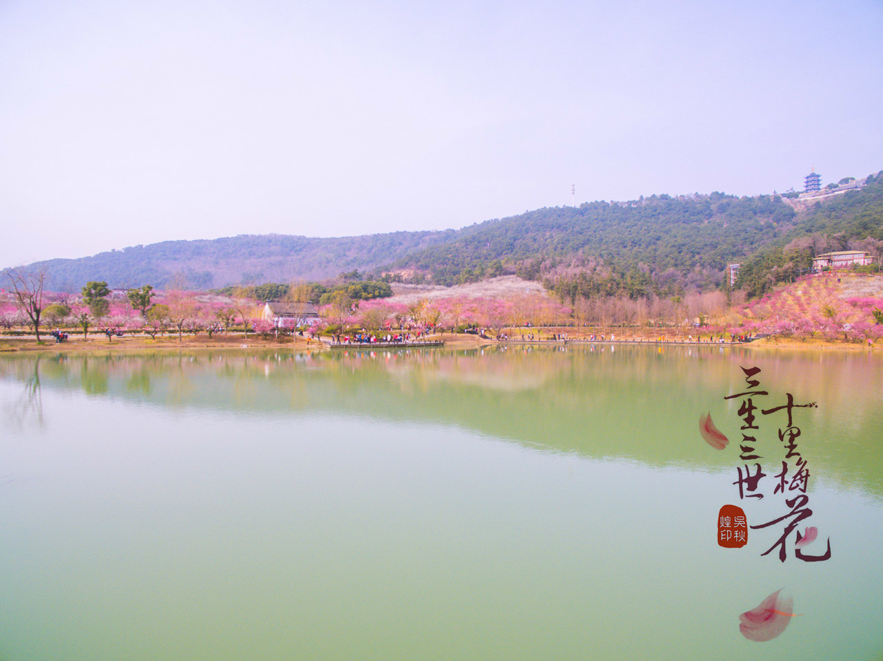 三生三世，十里梅花，遇见张家港