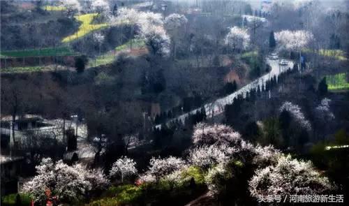 适合情侣河南旅游的地方,河南最适合情侣旅游的地方