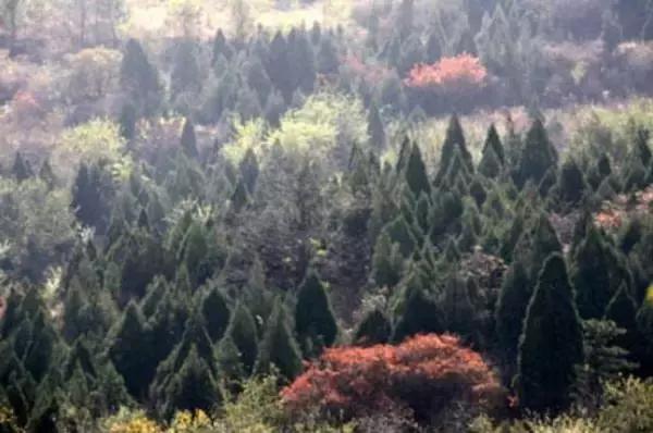 盘点北京38个森林公园,定个小目标完整版免费