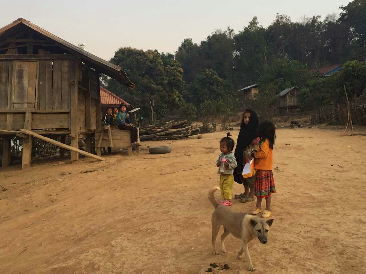 收野生土特产日记：带你去看看，老挝的原始山区！