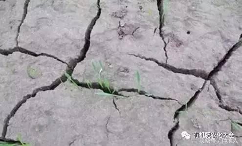 拿什么拯救你的成绩,拿什么拯救废了的你