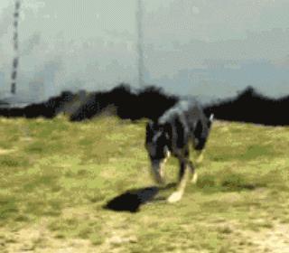 电影不是我干的,这事真不是我干的