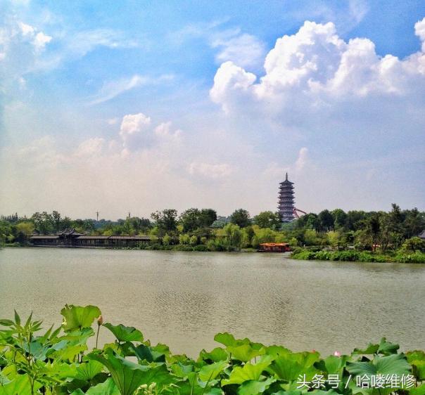 3月20日苹果报价看看昔日机皇的拍照表现