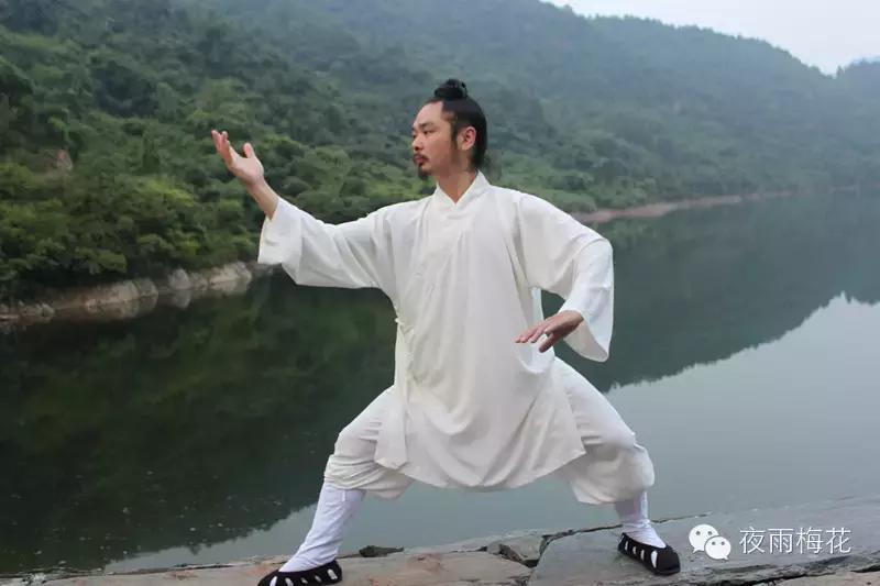 武当太极陈师宇,武当太极十三式陈师宇