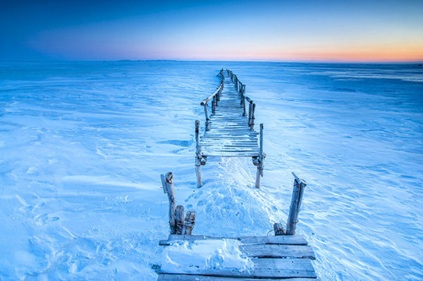 达里诺尔湖鸟类排名,鸟类的天堂达里诺尔湖