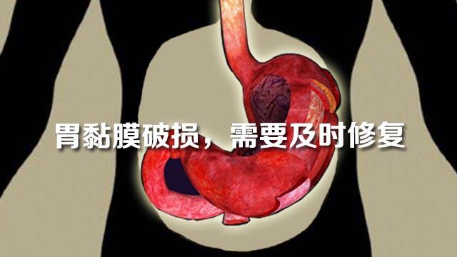 5年慢性胃炎吃点它竟然好了,20年胃炎