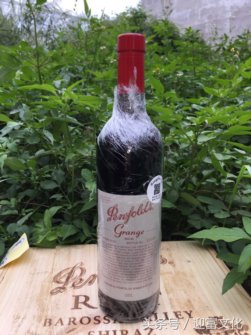 如何认清假葡萄酒和山寨葡萄酒,如何识别山寨葡萄酒的真伪