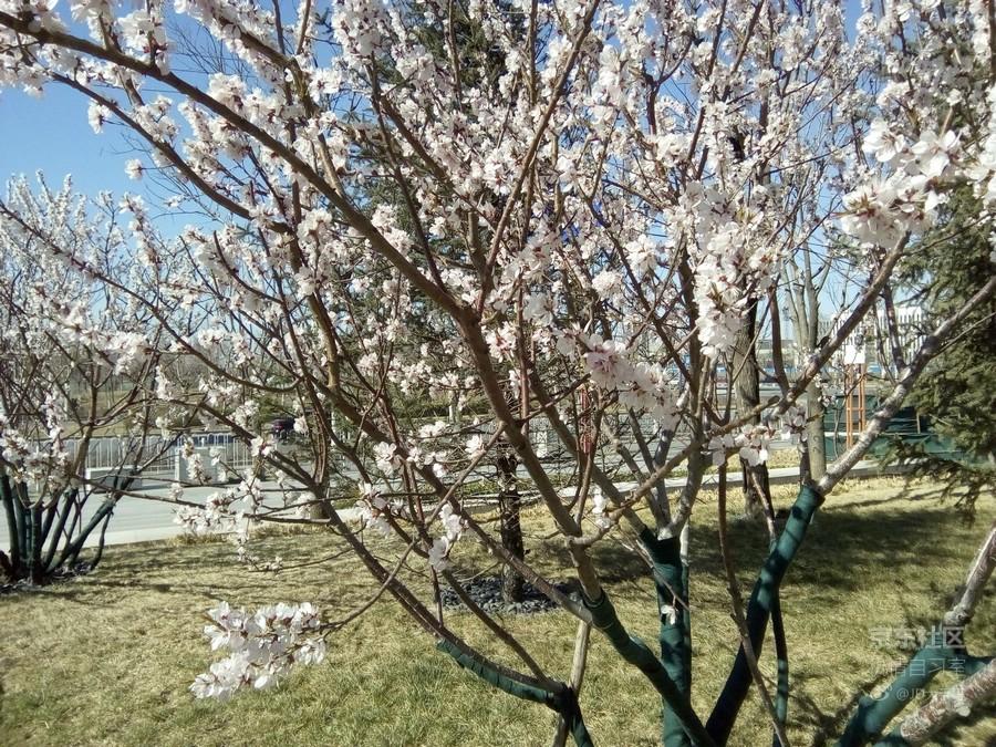 最新魅族flyme系统,魅族flyme10系统评测新功能