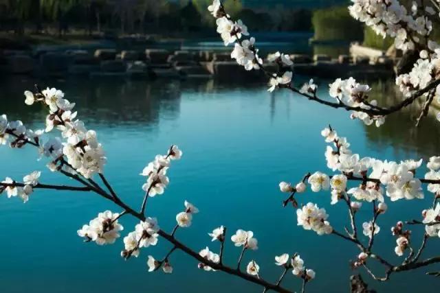 河科大考研为什么没有初试排名,河科大机械考研复试线