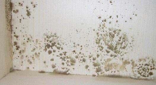 回南天潮湿空气不通风，紫外线消毒灯杀菌除霉斑