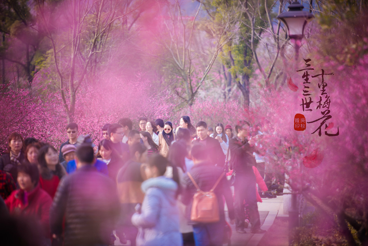三生三世，十里梅花，遇见张家港