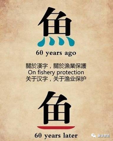 营销总监如何带领团队开拓市场,从营销总监的角度设计营销方案