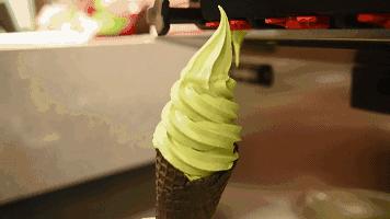 抹茶控必看散发出令人陶醉的香气,抹茶控视频完整版