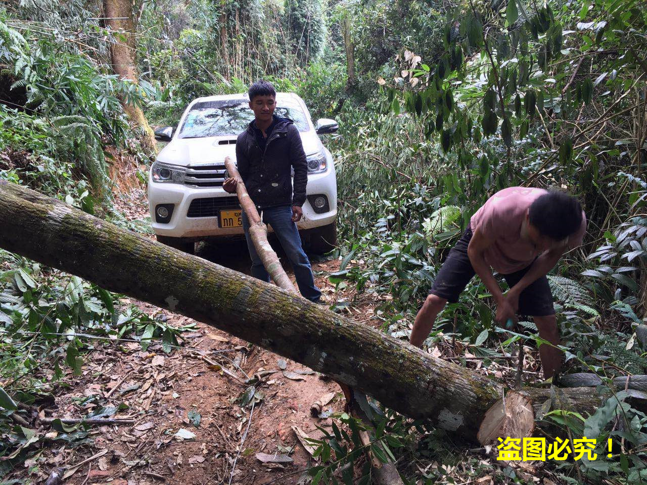 收野生土特产日记：带你去看看，老挝的原始山区！