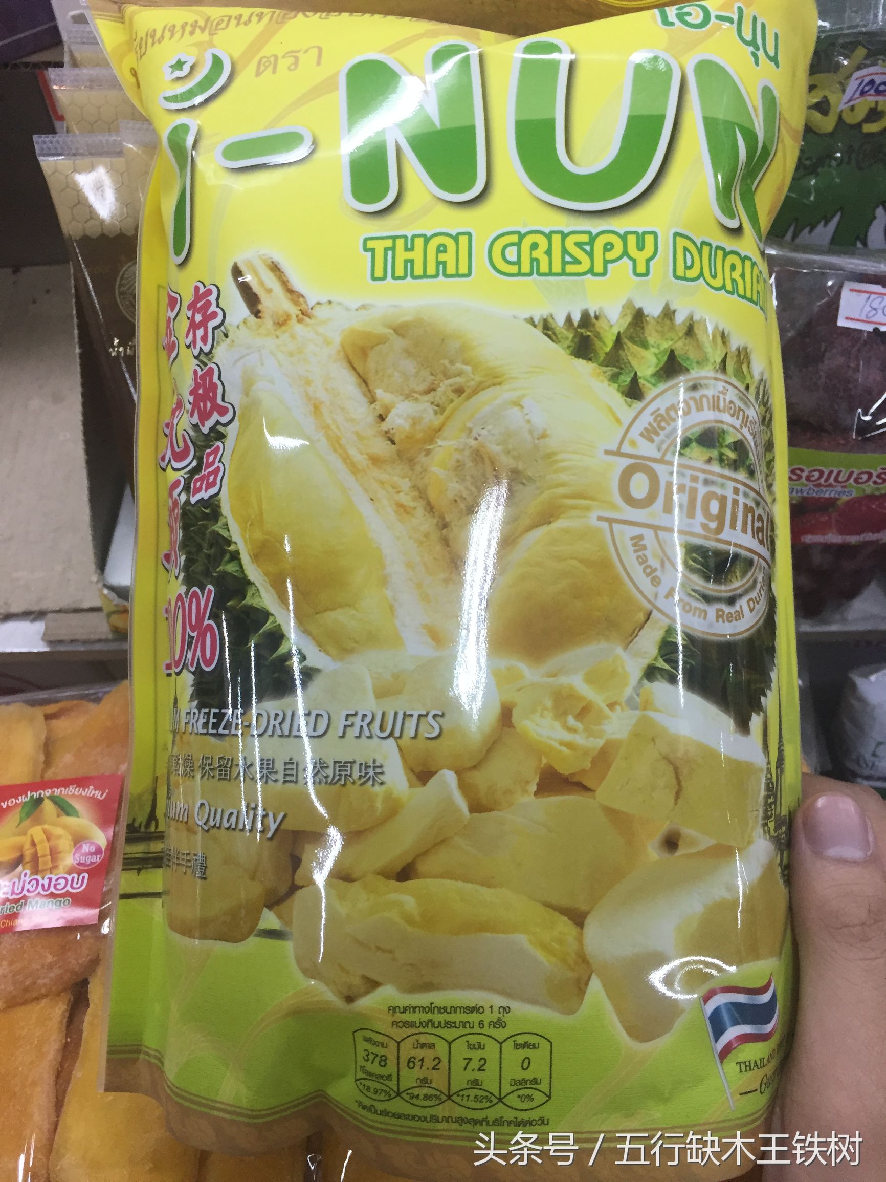 铁树在哪里可以买到,铁树在哪里买