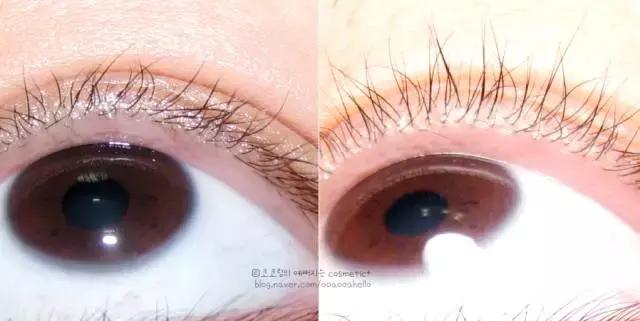 canmake什么最好用,canmake推荐