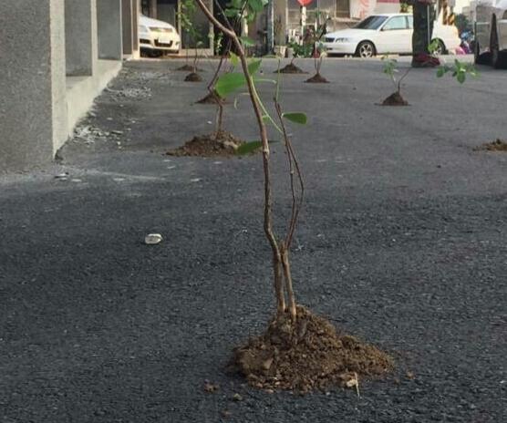 合肥房价跌幅排行榜,合肥二手房价格持续下跌