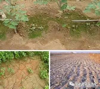 拿什么拯救你的成绩,拿什么拯救废了的你