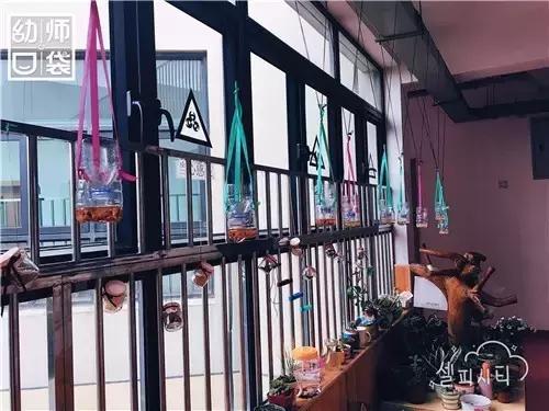 幼儿园如何打造自然区角的环境,复古自然角幼儿园