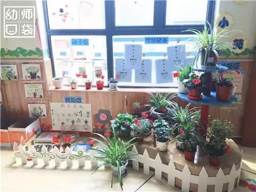 幼儿园如何打造自然区角的环境,复古自然角幼儿园