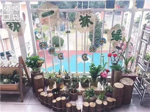 幼儿园如何打造自然区角的环境,复古自然角幼儿园