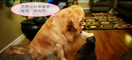 哪个星座的男生最怕女生,狗狗告诉你什么事