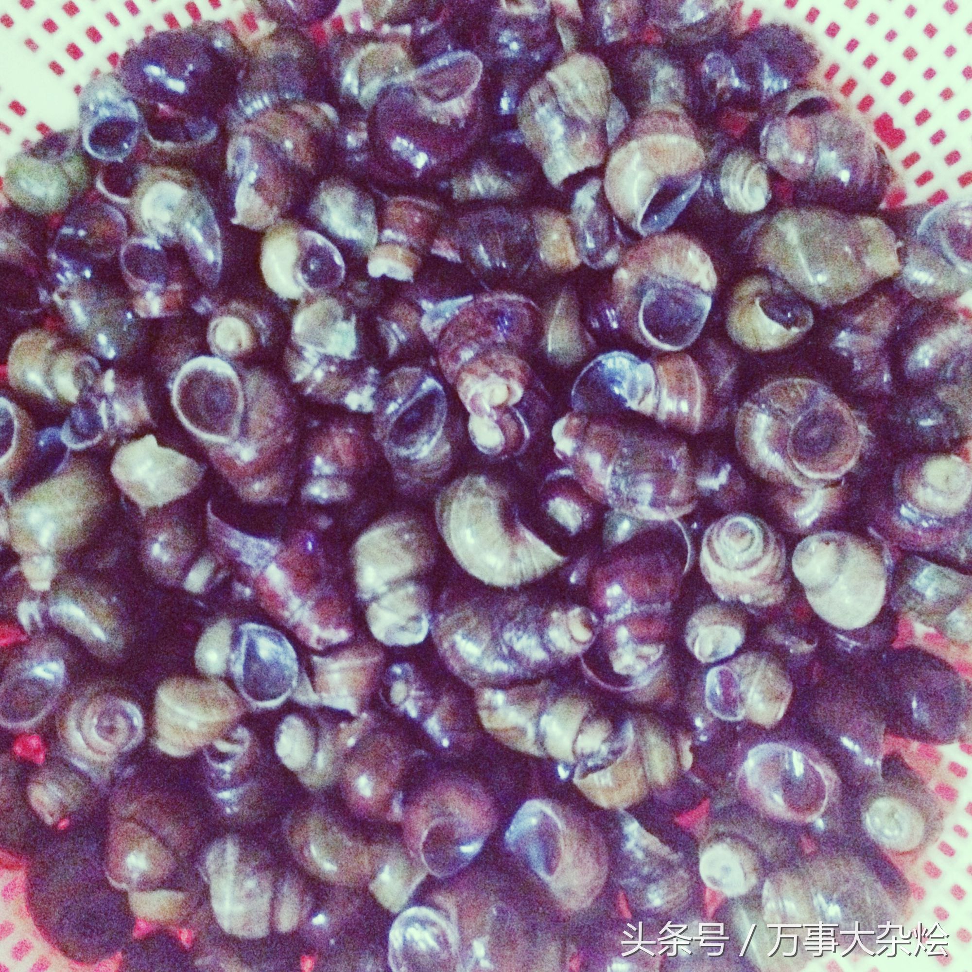 地域特色螺蛳粉,飘味香教你螺蛳粉做法