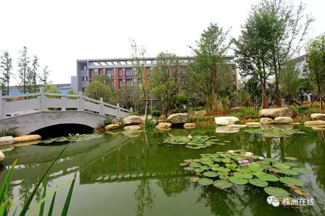 二中今年考得怎么样,二中好进吗