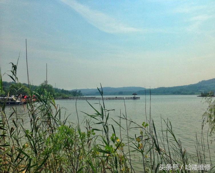 3月20日苹果报价看看昔日机皇的拍照表现