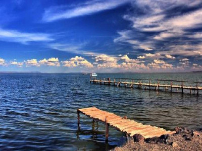 达里诺尔湖鸟类排名,鸟类的天堂达里诺尔湖