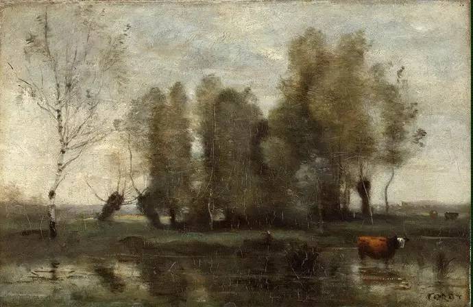 高价彩礼又拆散一对新人,农村彩礼引发两个家庭的悲剧