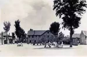 青岛最老的中学,青岛市内有几个百年学校